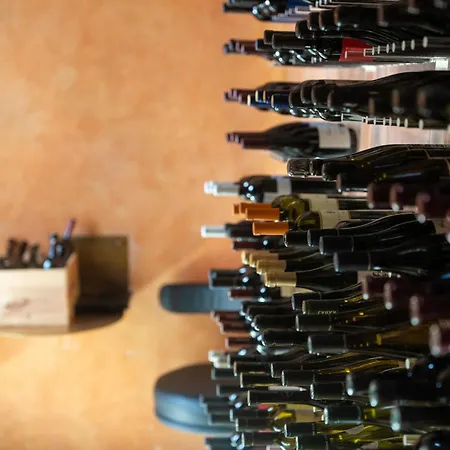 מלון Spirito Santo Palazzo Storico - Adults Only רוביני